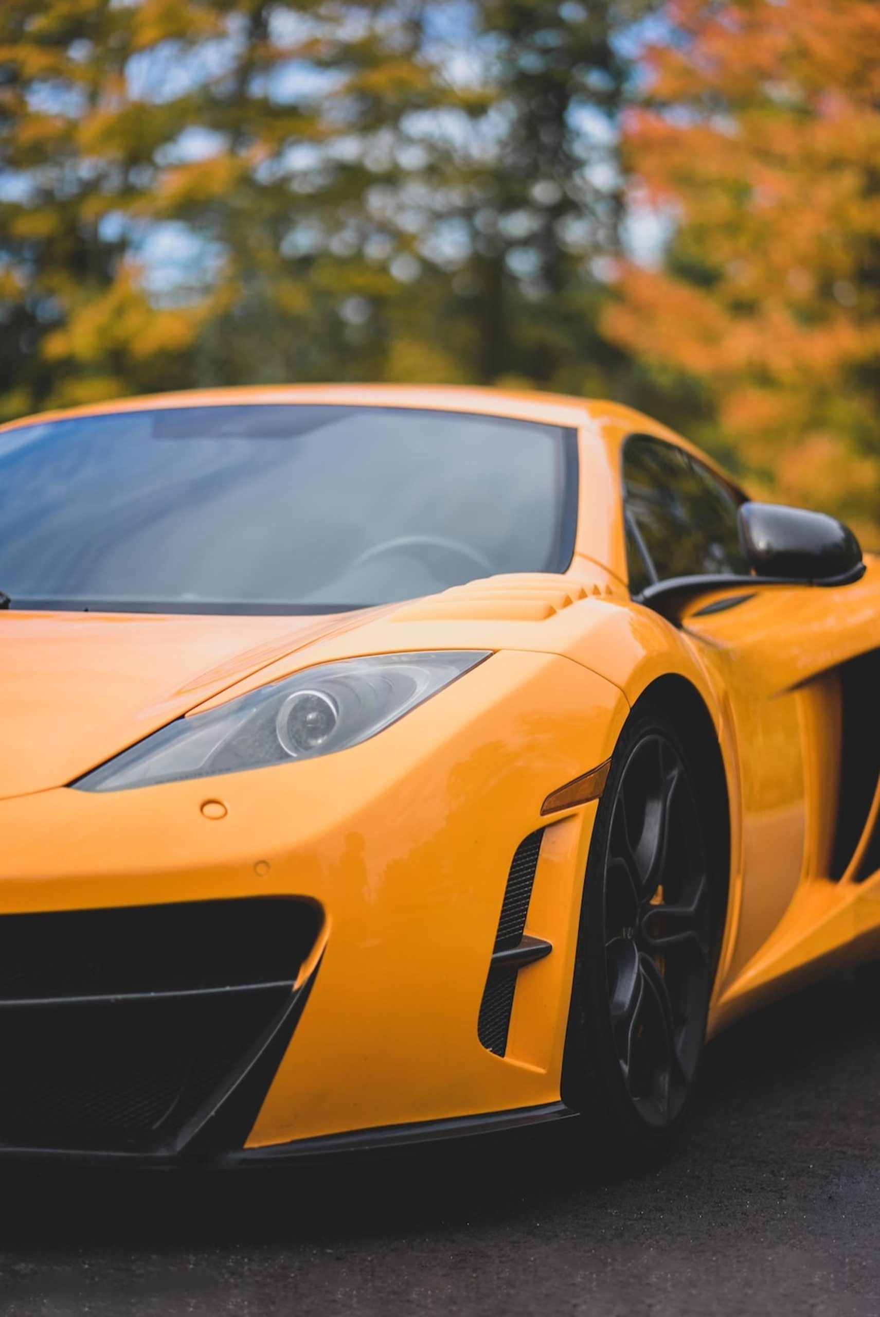 Appraisals for Exotic Cars